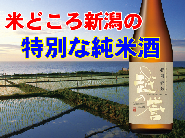 特別純米酒イメージ